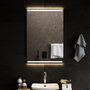 Voir la diapositive 1 : VIDAXL Miroir de salle de bain a LED 60x90 cm