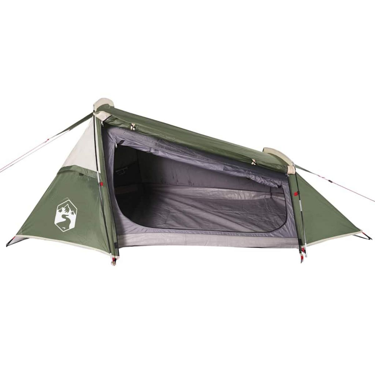 VIDAXL Tente de camping tunnel 2 personnes vert impermeable