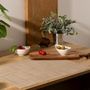 Voir la diapositive 3 : SECRET DE GOURMET Set de Table  Maoli  35x50cm Naturel