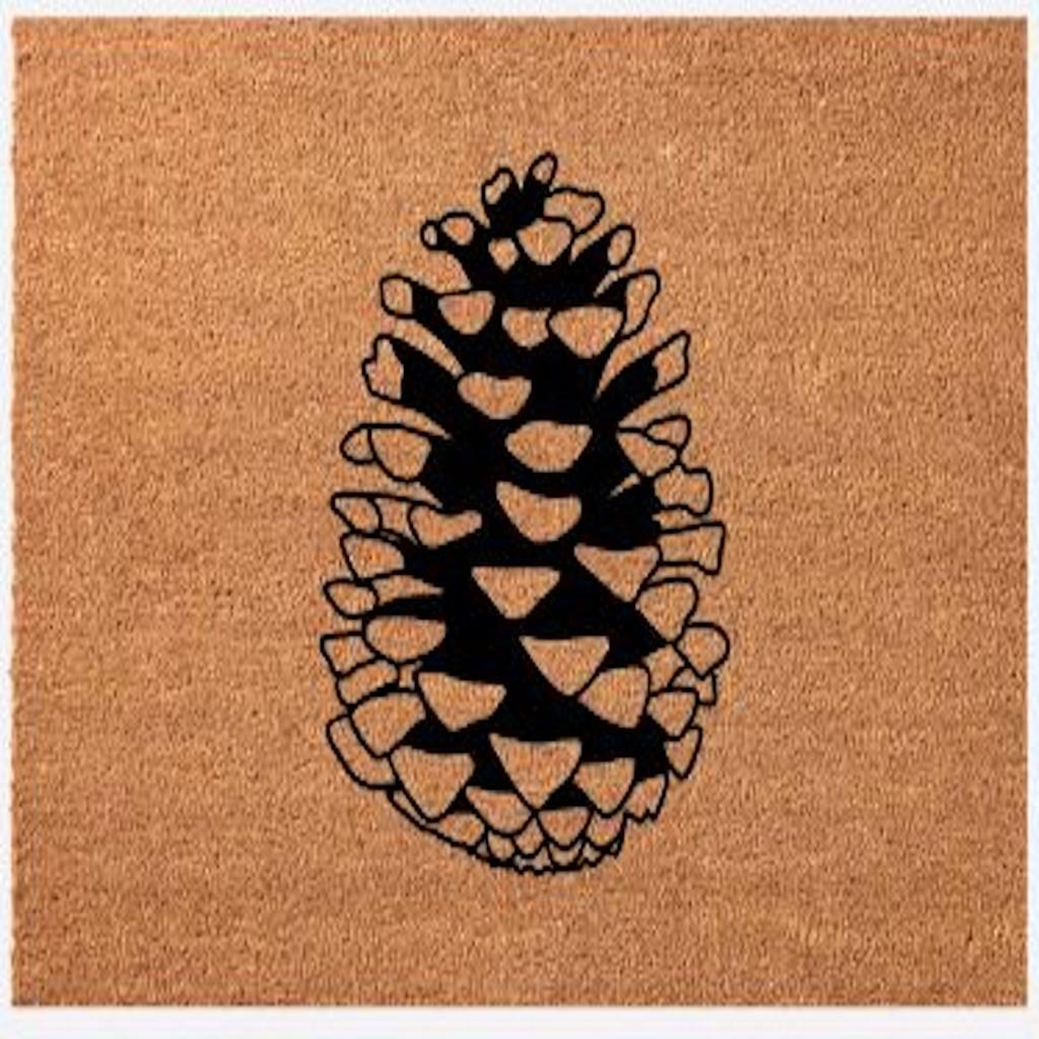 Proloisirs Paillasson 75x45 Fibre Naturelle - Pomme de Pin