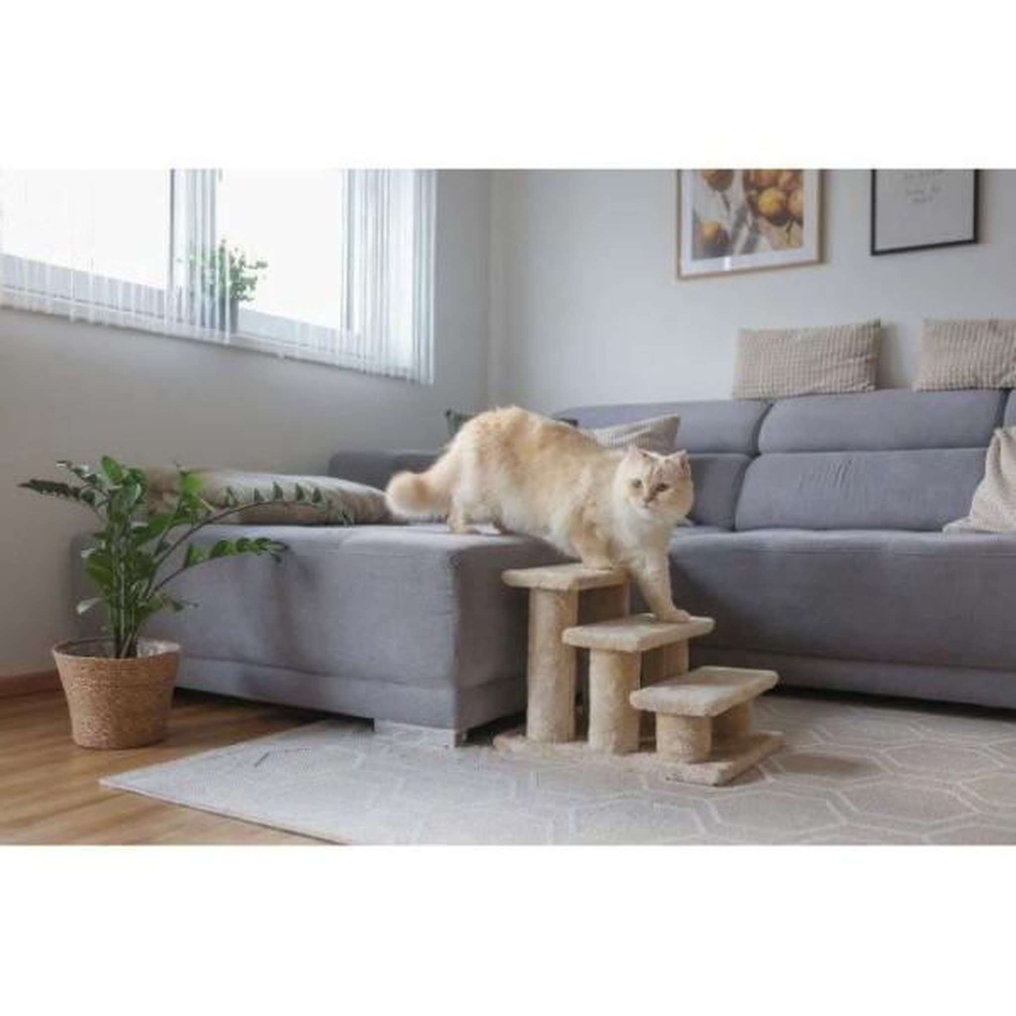 Voir la diapositive 2 : KERBL KERBL - Escalier pour animaux - 45 x 35 x 34 cm - Jusqu'a 50 kg