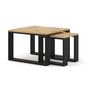 Voir la diapositive 1 : BEST MOBILIER Donnely - lot de 2 tables basses - effet bois et noir - 60 et 38 cm