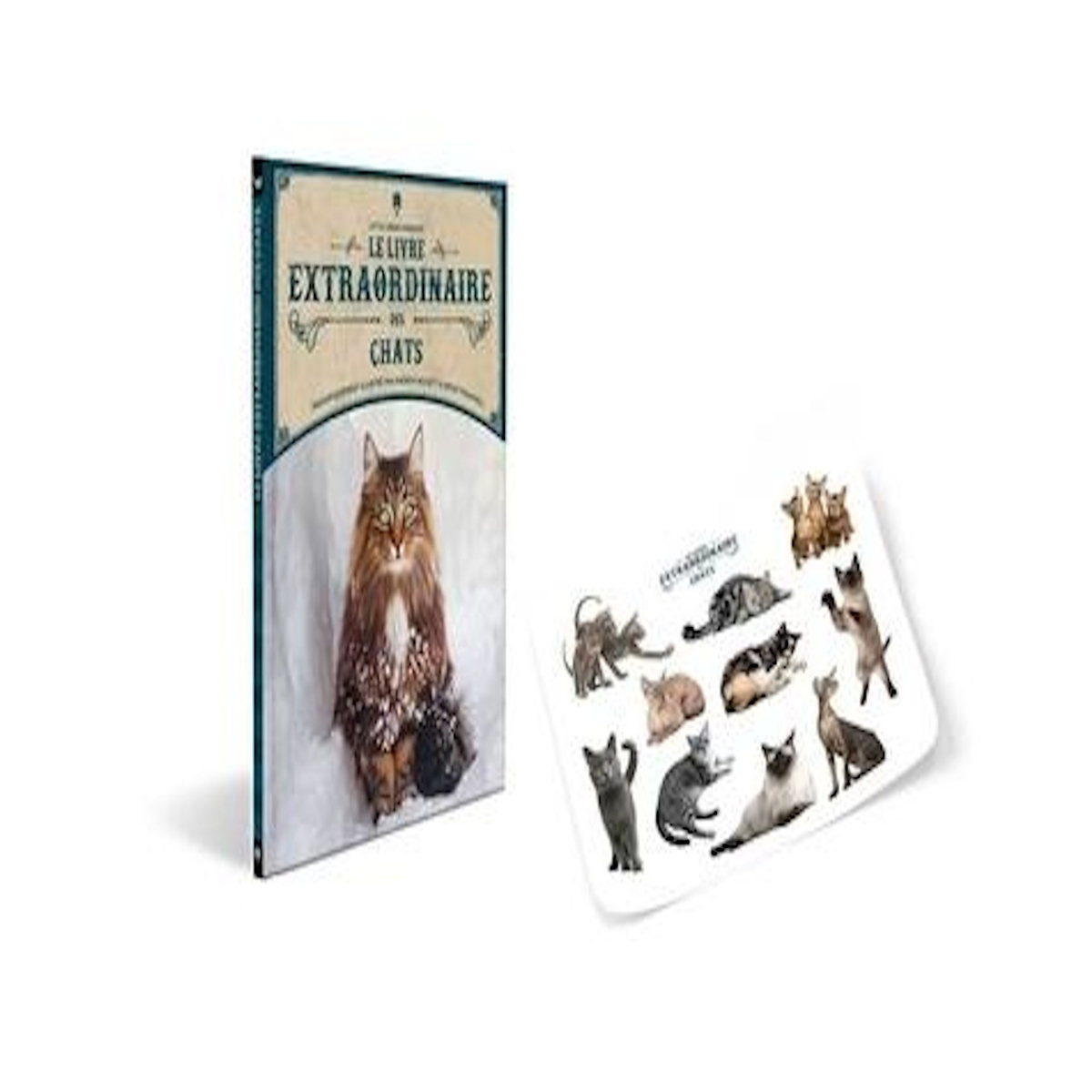 LE LIVRE EXTRAORDINAIRE DES CHATS. AVEC 1 PLANCHES DE STICKERS, Beckett Andrew