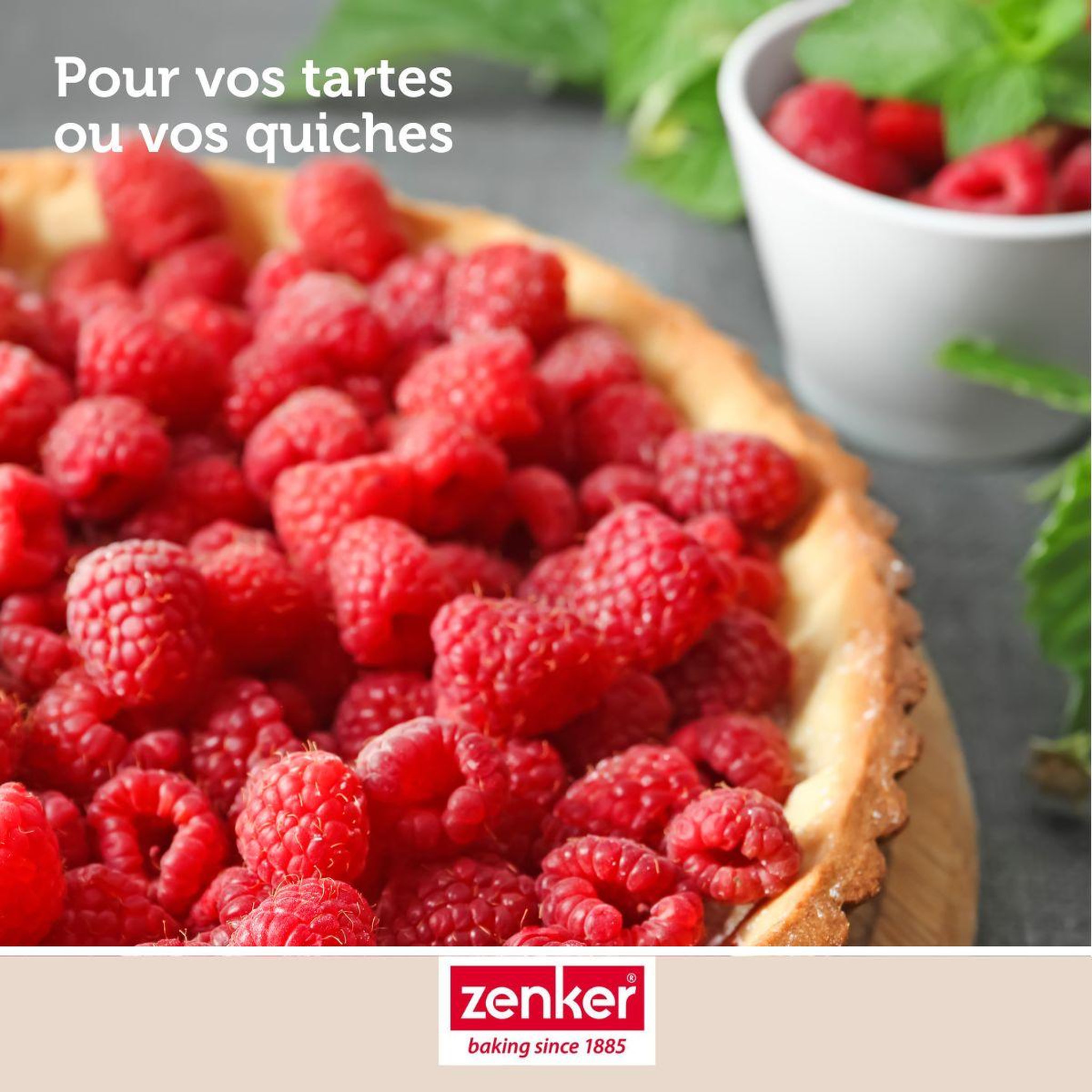Voir la diapositive 5 : ZENKER Moule à tartes 25 cm zenker silicone fibre de verre