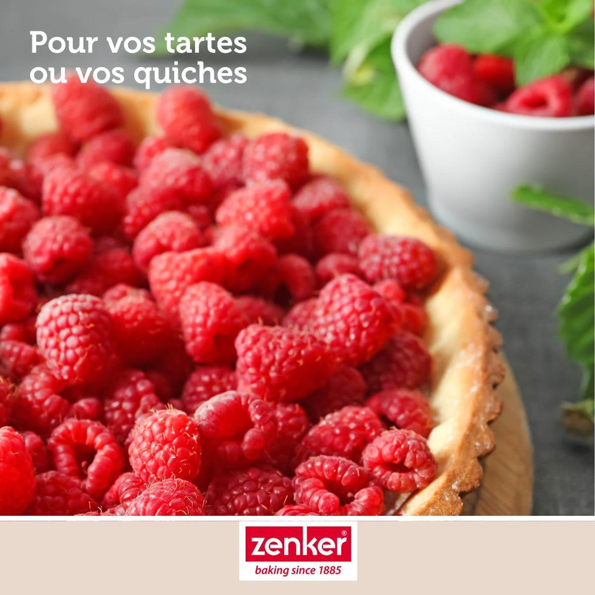 ZENKER Moule à tartes 25 cm Zenker Silicone fibre de verre