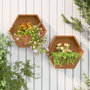 Voir la diapositive 1 : VIDAXL Jardinieres murales 2 pcs Rouille Acier corten 46x10x40 cm