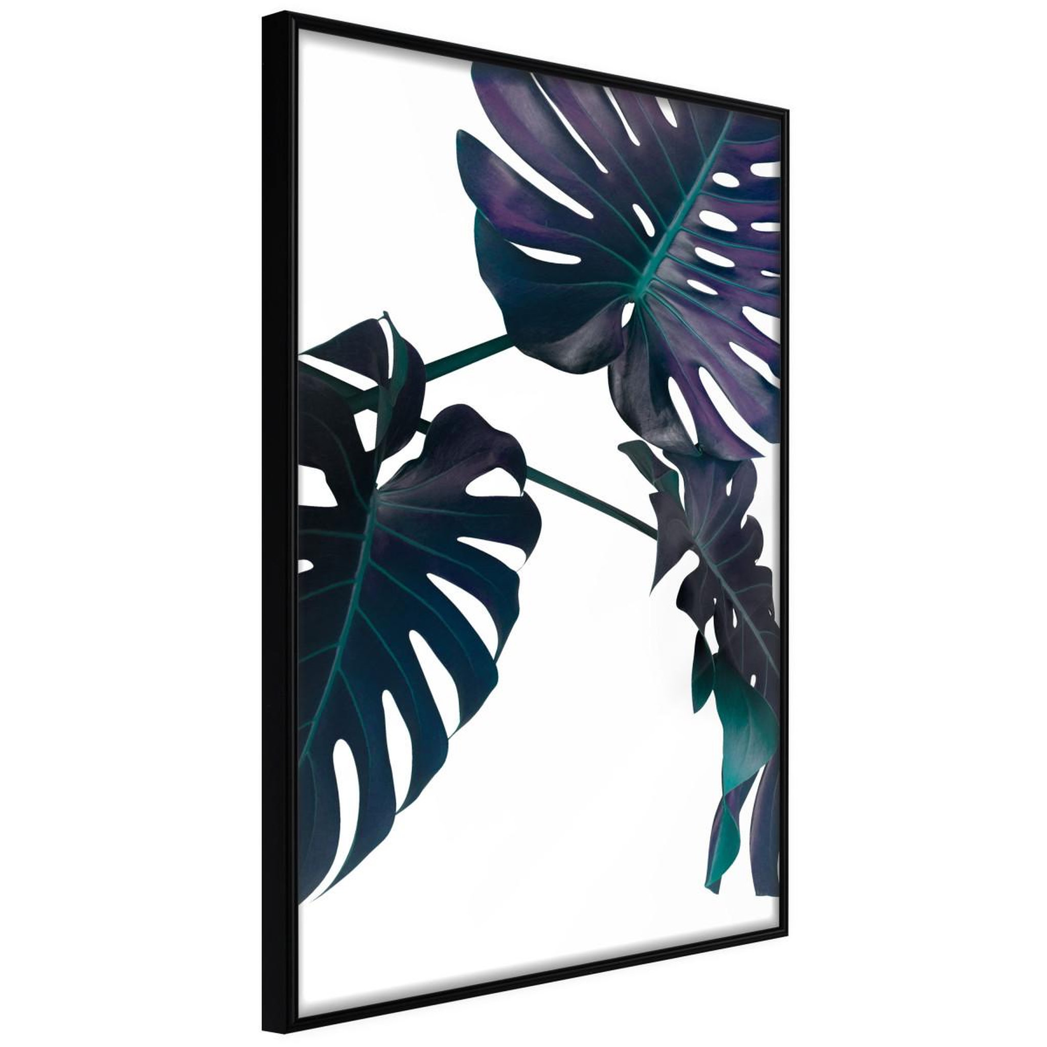 Paris Prix Affiche murale encadrée  evergreen monstera. Coloris disponibles : Noir, Jaune
