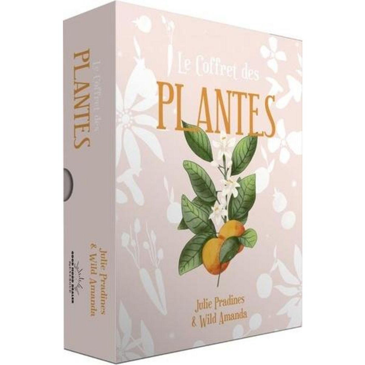 LE COFFRET DES PLANTES. CE COFFRET CONTIENT : 1 LIVRE, 65 CARTES, 1 SAC EN COTON ET 1 POSTER BONUS, Pradines Julie