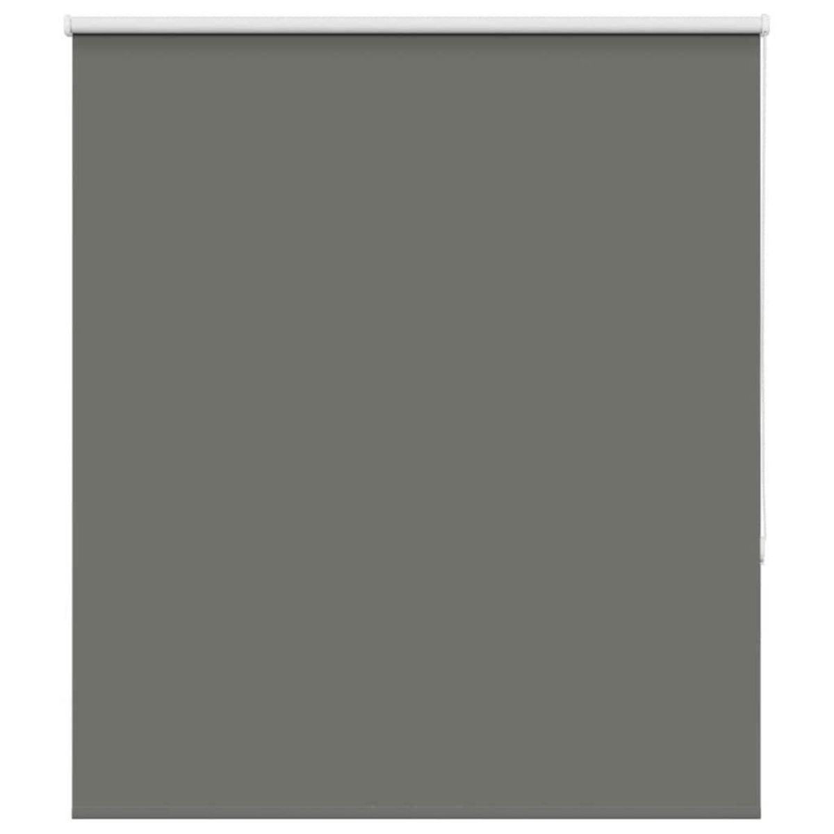 VIDAXL Store enrouleur occultant largeur du tissu 121,6 cm polyester