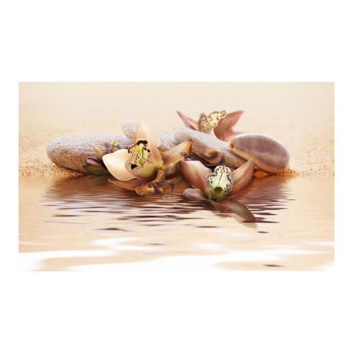 Paris Prix Papier Peint  Plage Nénuphars  270x450cm