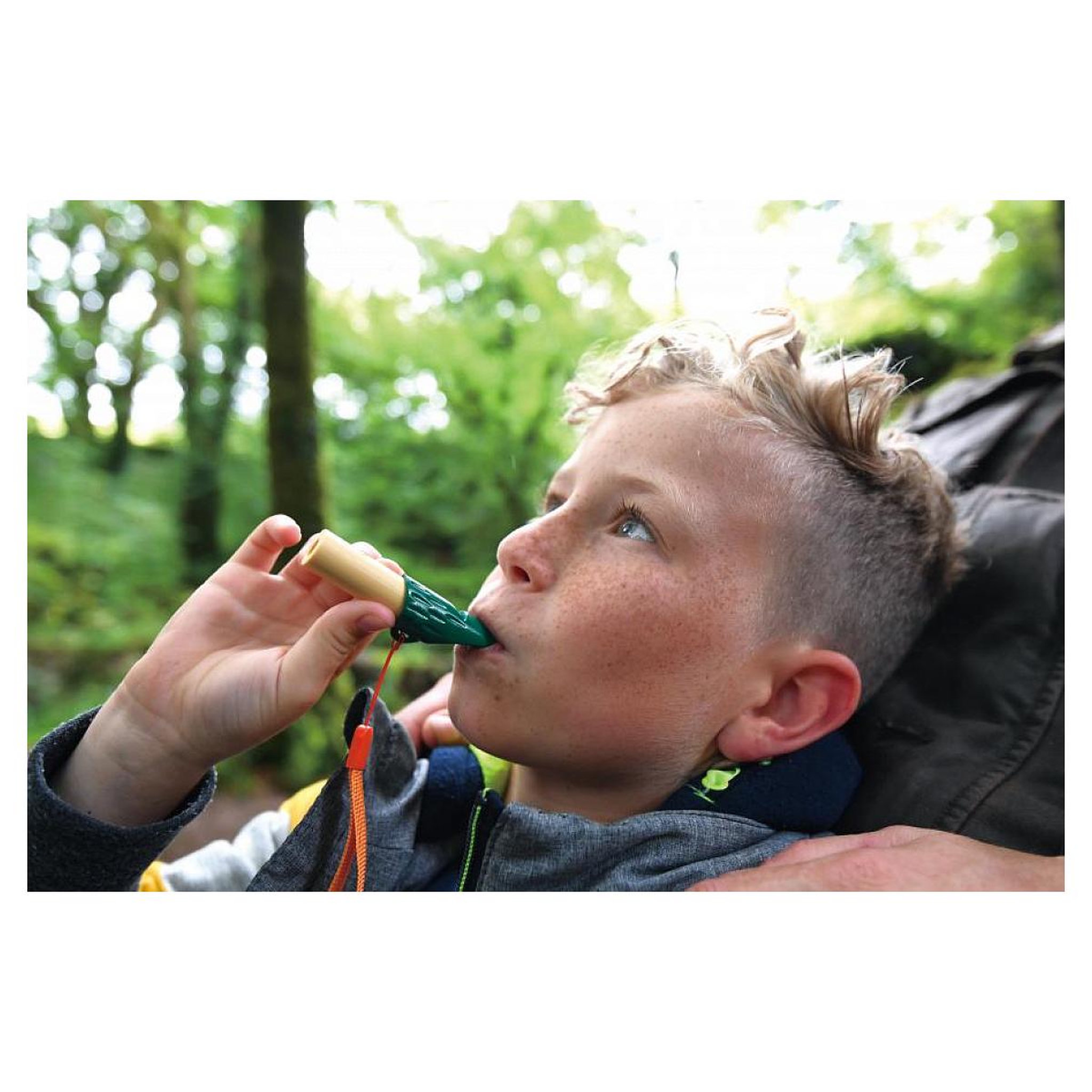 Voir la diapositive 6 : Hape Kit de découverte de la nature