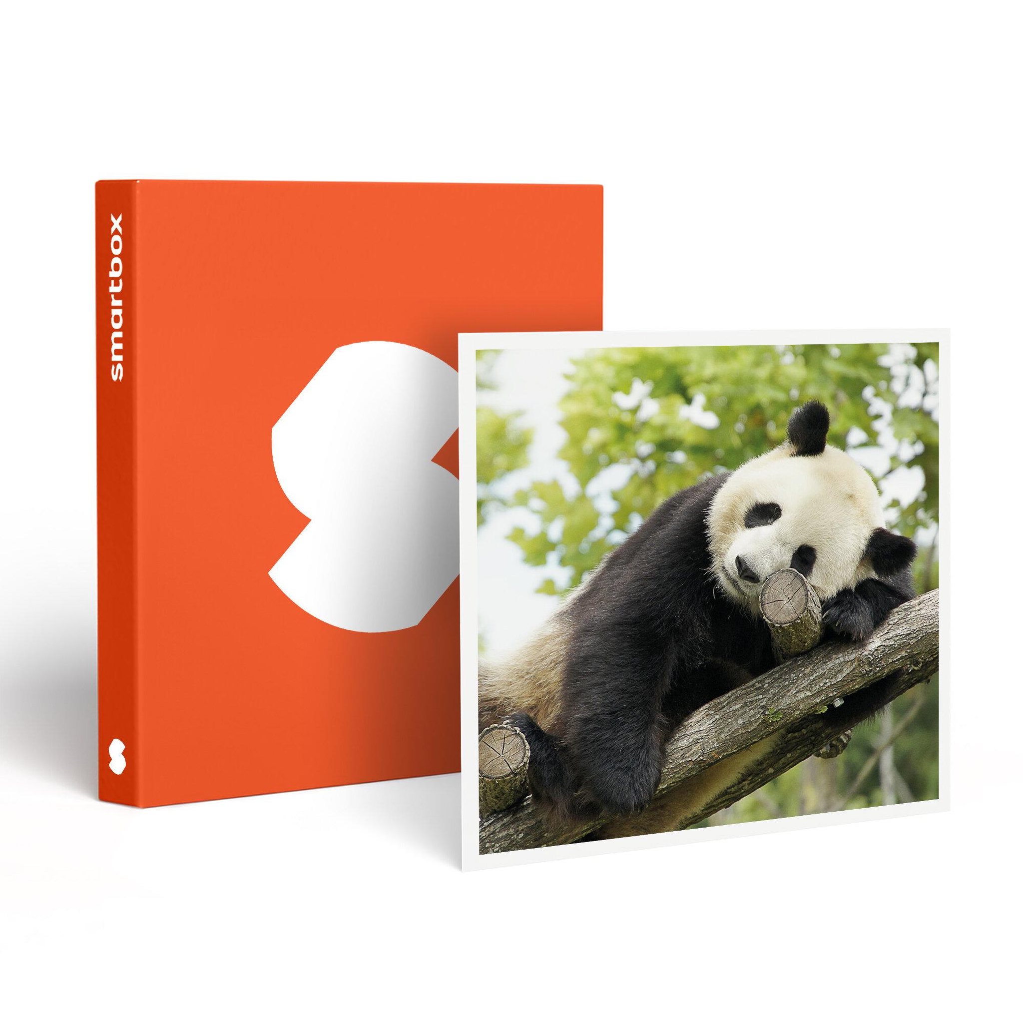 Smartbox Zooparc de beauval 2026 : entrées 1 adulte et 2 enfant (1 journée) - coffret cadeau multi-thèmes