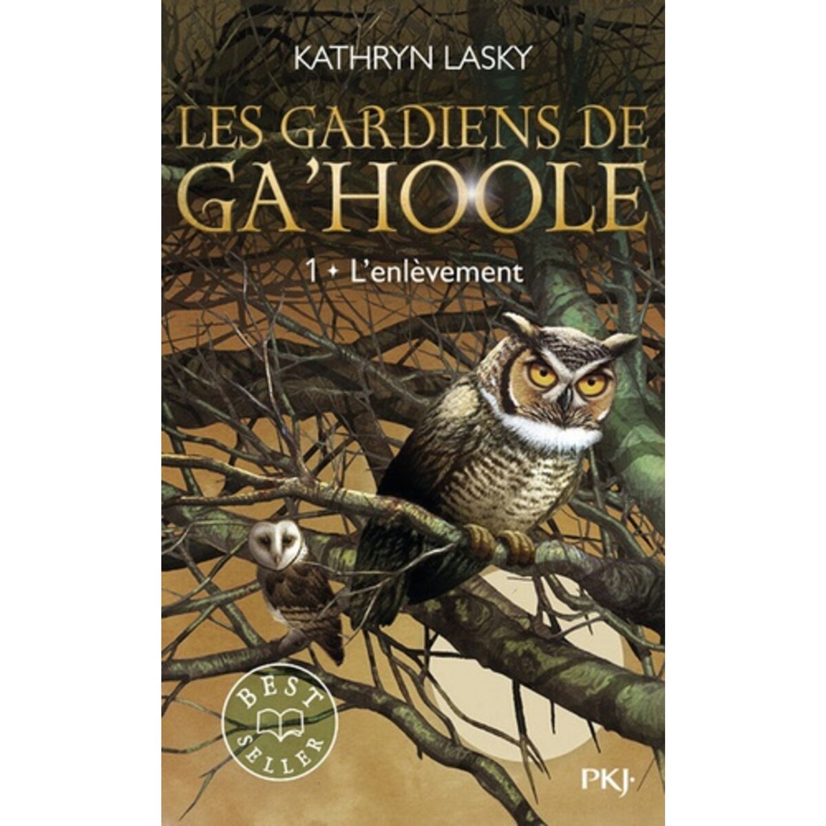  LES GARDIENS DE GA'HOOLE TOME 1 : L'ENLEVEMENT, Lasky Kathryn
