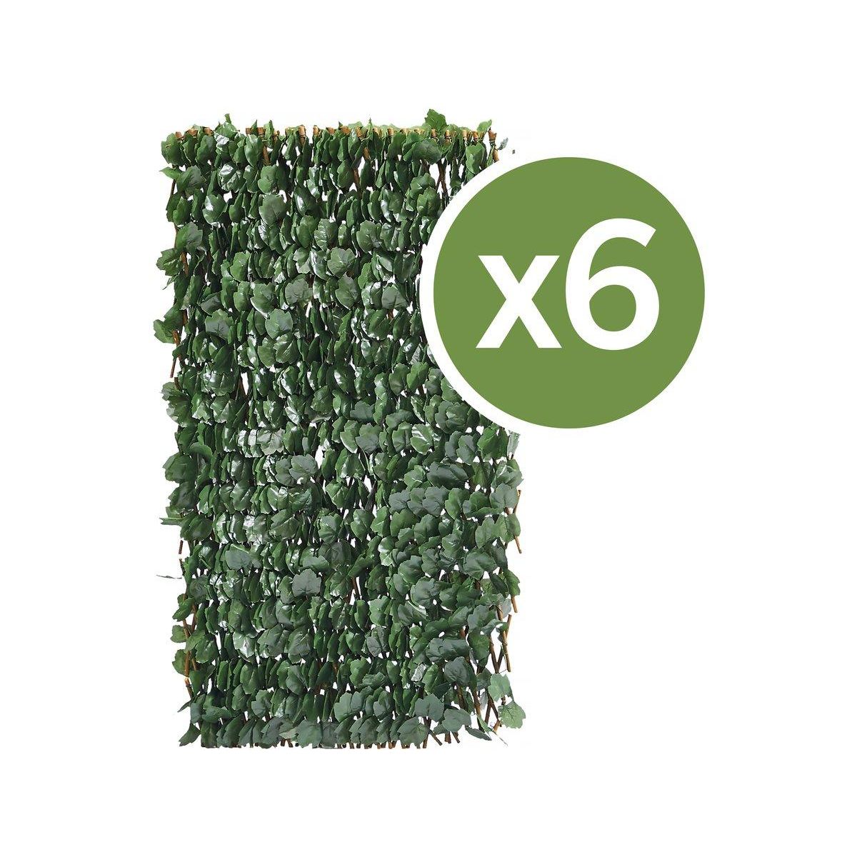 Habitat et Jardin Lot de 6 Clôtures en treillis de saule  Fragon  - 200 x 100 cm - Vert