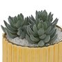 Voir la diapositive 2 : ATMOSPHERA Plante Artificielle en Pot  Le Collectionneur  14cm Or