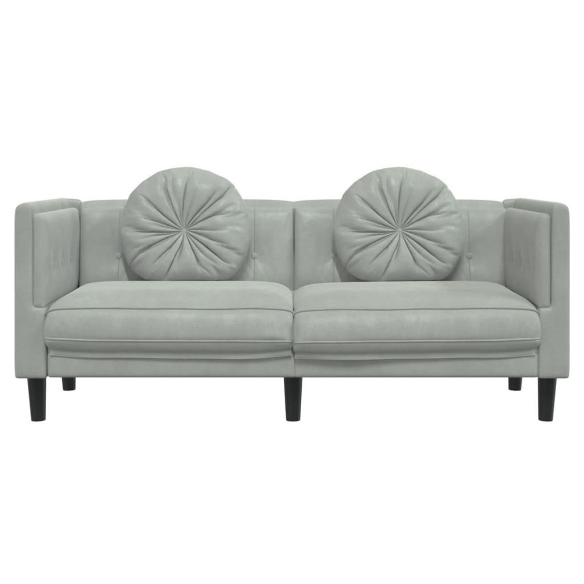 VIDAXL Canape avec coussins 2 places gris clair velours