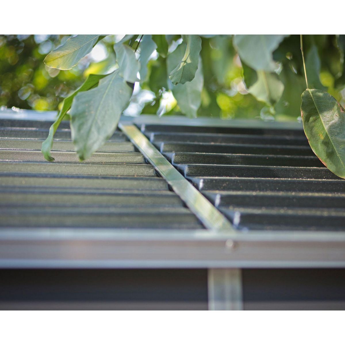 Canopia by PALRAM Abri de jardin résine - 5,6m² - RUBICON SHED