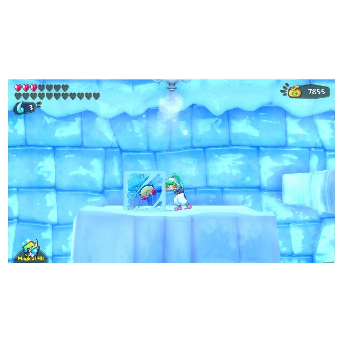 Wonder Boy : Asha In Monster World Nintendo Switch