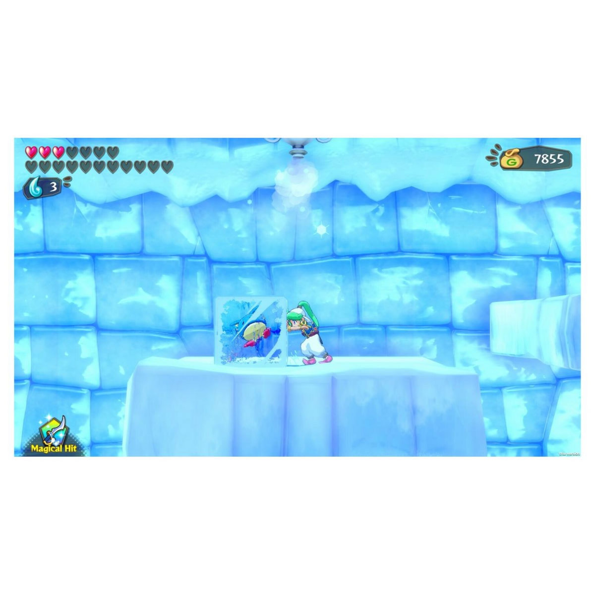 Wonder Boy : Asha In Monster World Nintendo Switch