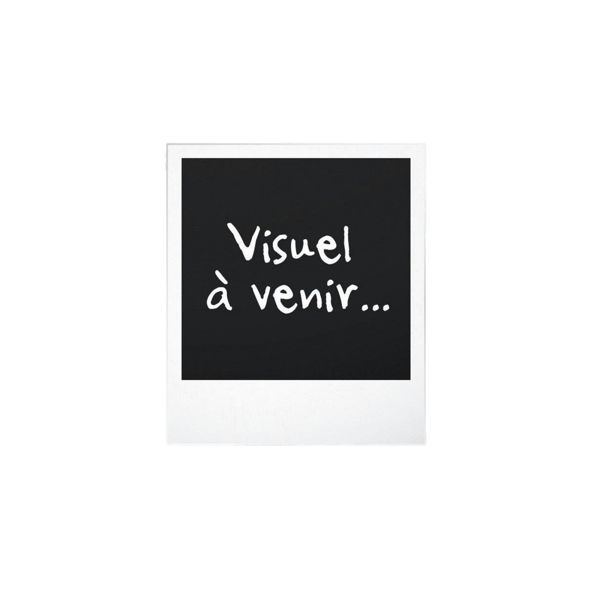 ARIETE Grille pain Ariete 2 tranches noir 700 W