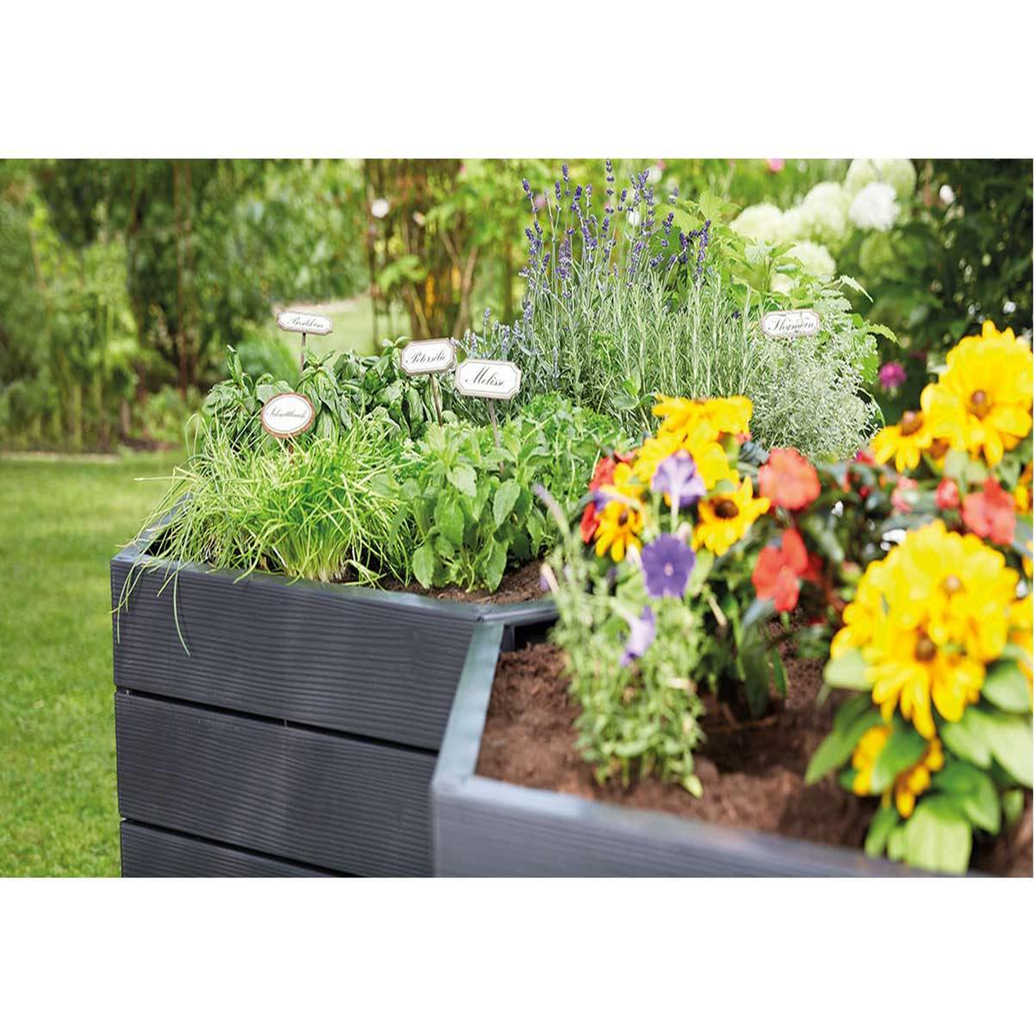 Voir la diapositive 3 : Habitat et Jardin Kit de 2 carrés potagers  Ergo  - 110 x 25 cm