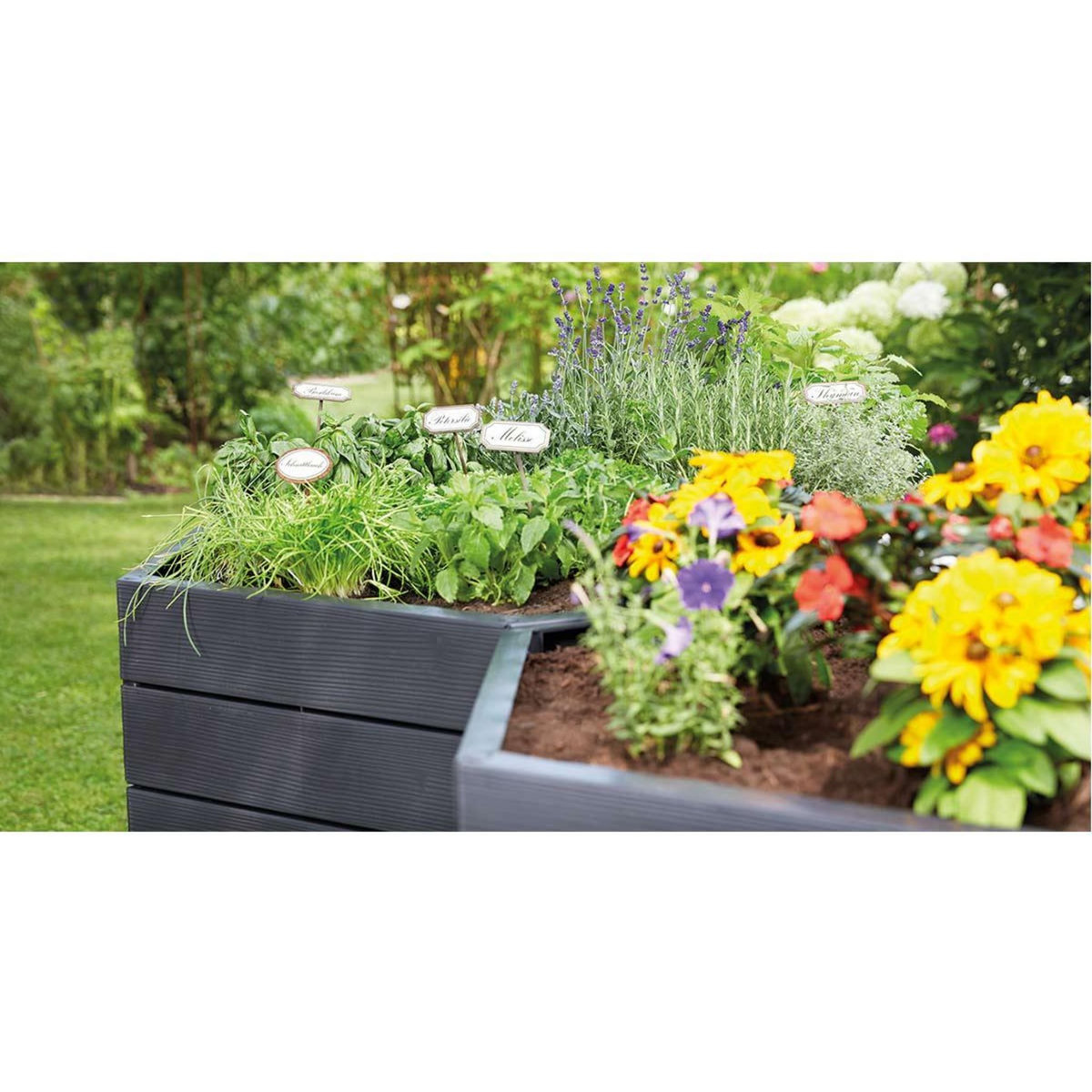 Habitat et Jardin Kit de 2 carrés potagers  Ergo  - 110 x 25 cm
