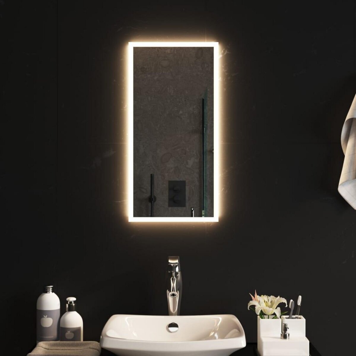 VIDAXL Miroir de salle de bain a LED 30x60 cm