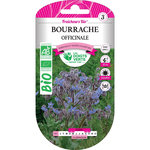 LES DOIGTS VERTS Graines bourrache officinale BIO Les Doigts Verts