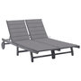 Voir la diapositive 1 : VIDAXL Chaise longue de jardin 2 places avec coussin Gris Acacia
