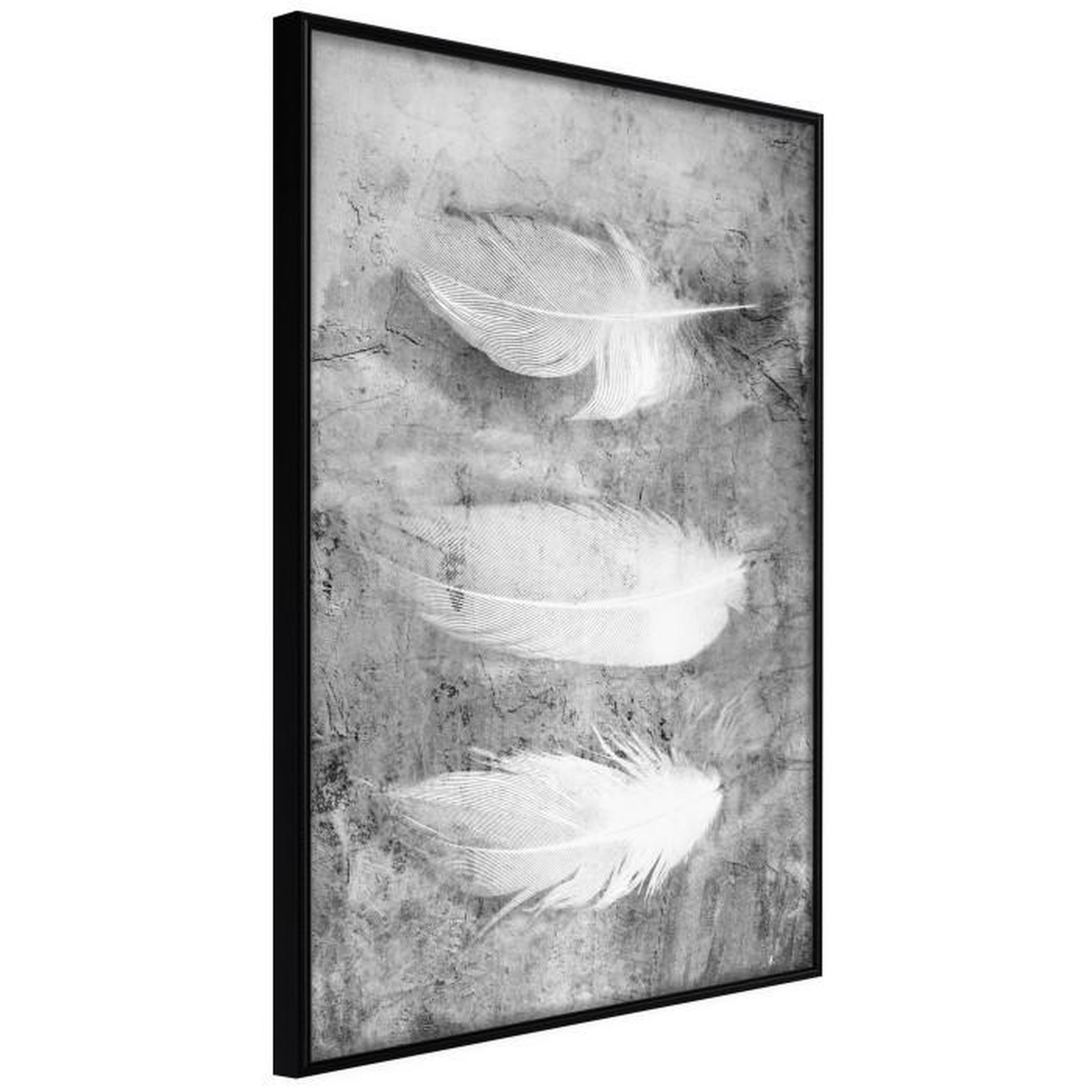 Paris Prix Affiche Murale Encadrée  Delicate Feathers. Coloris disponibles : Noir, Jaune