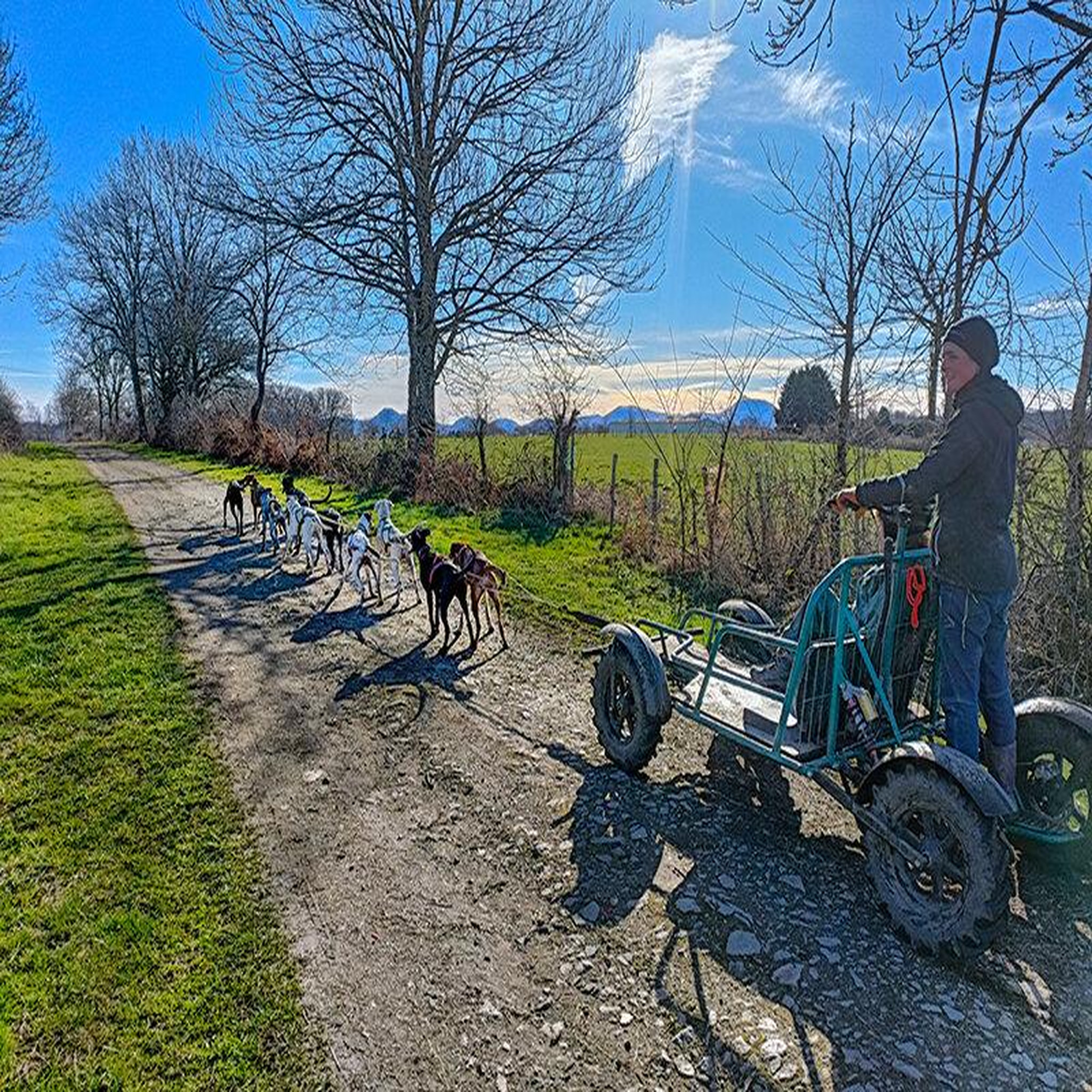 Voir la diapositive 3 : Smartbox Séjour au poil : 2 jours en gîte avec balade en Cani-Kart en famille près de Clermont-Ferrand - Coffret Cadeau Séjour