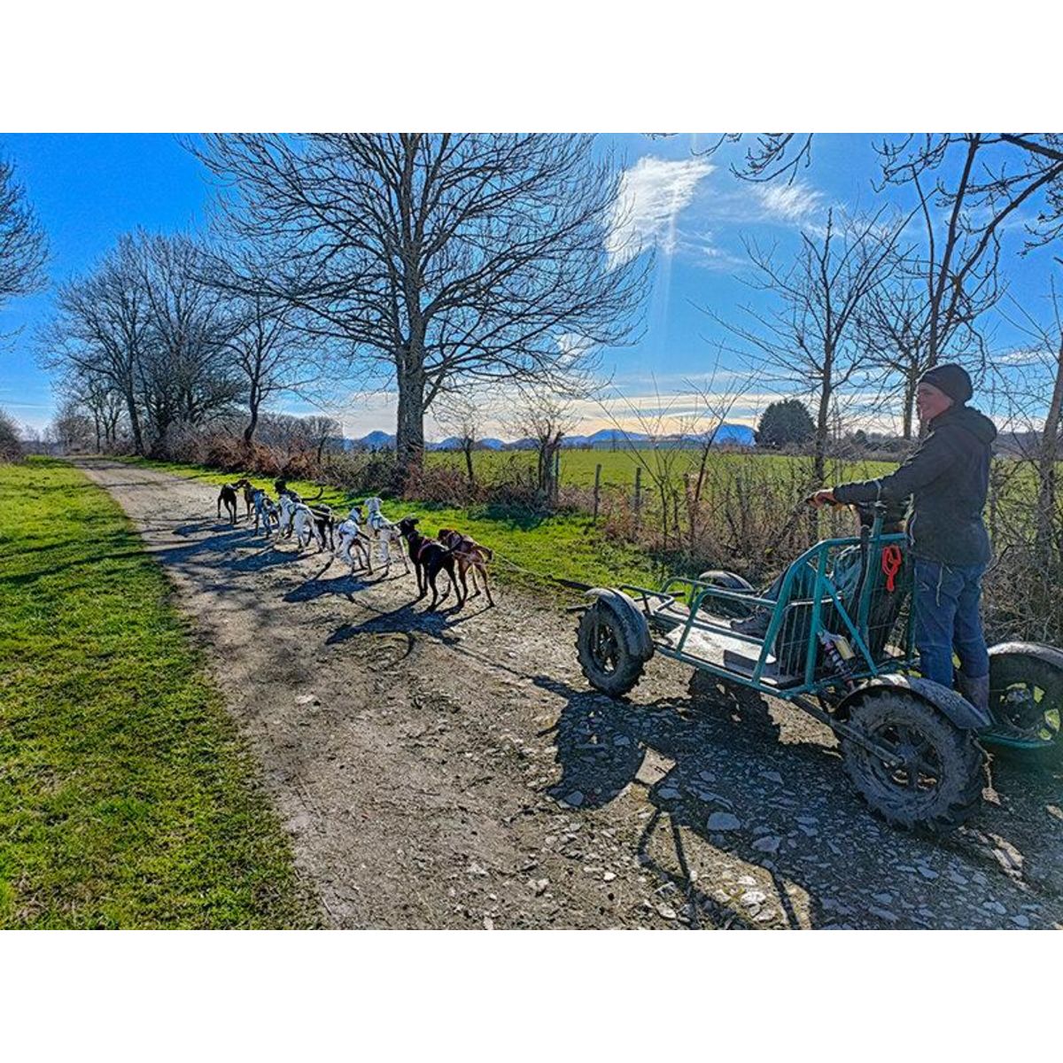 Smartbox Séjour au poil : 2 jours en gîte avec balade en Cani-Kart en famille près de Clermont-Ferrand - Coffret Cadeau Séjour