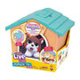 Voir la diapositive 4 : Pets Mini-monde Little Live Pets My Puppy's Home Minis coloré