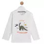 INEXTENSO T-shirt manches longues dinosaure bébé garçon