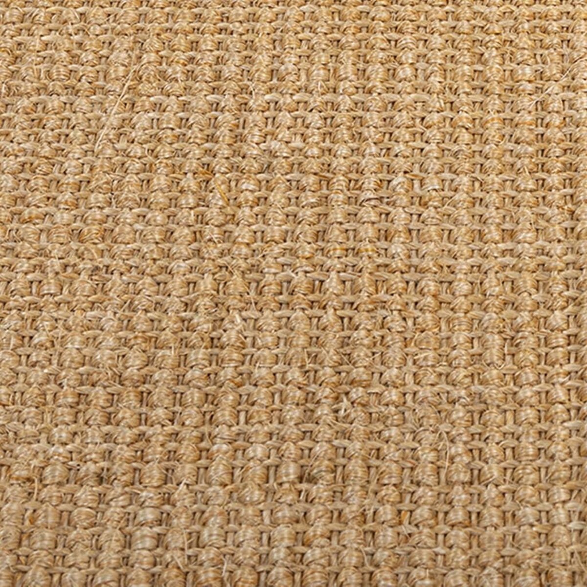 VIDAXL Tapis Sisal naturel 80x100 cm
