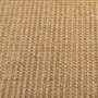 Voir la diapositive 4 : VIDAXL Tapis Sisal naturel 80x100 cm