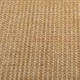 Voir la diapositive 4 : VIDAXL Tapis Sisal naturel 80x100 cm
