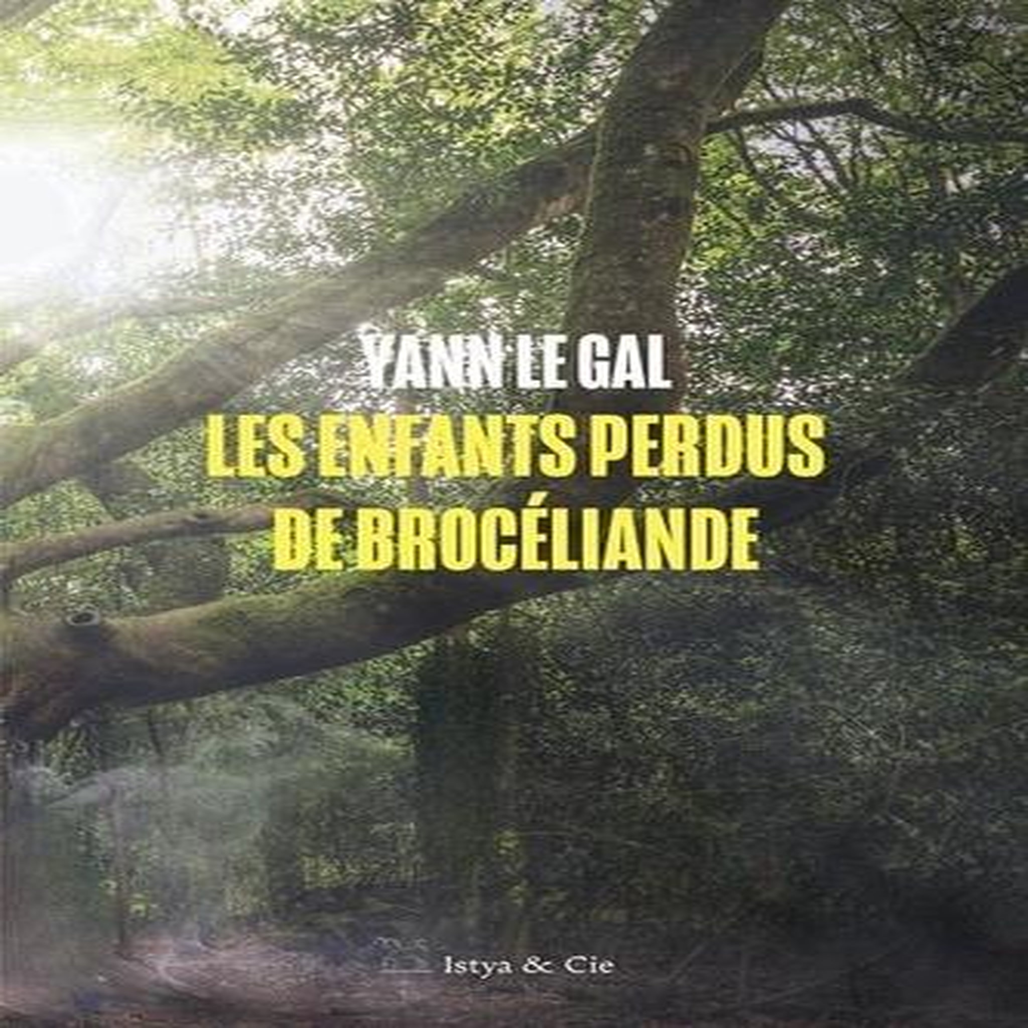 LES ENFANTS PERDUS DE BROCELIANDE, Le Gal Yann