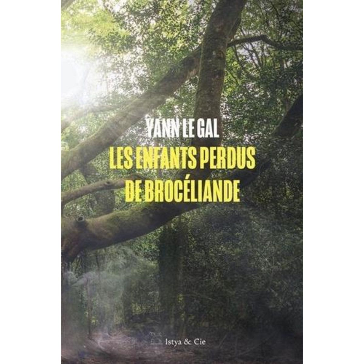 LES ENFANTS PERDUS DE BROCELIANDE, Le Gal Yann