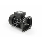 Pentair Moteur pour pompes Ultraflow, Whisperflow et Superflo 0,75 CV Tri - Pentair