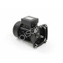 Voir la diapositive 1 : Pentair Moteur pour pompes Ultraflow, Whisperflow et Superflo 0,75 CV Tri - Pentair