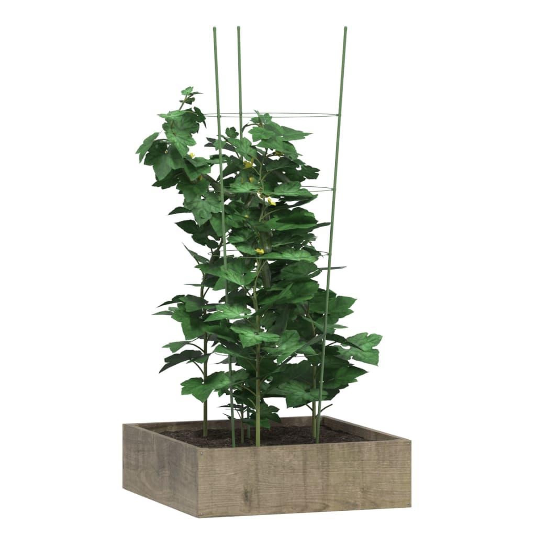 Voir la diapositive 3 : VIDAXL Supports pour plantes de jardin 4 anneaux 5pcs Vert 90 cm Acier