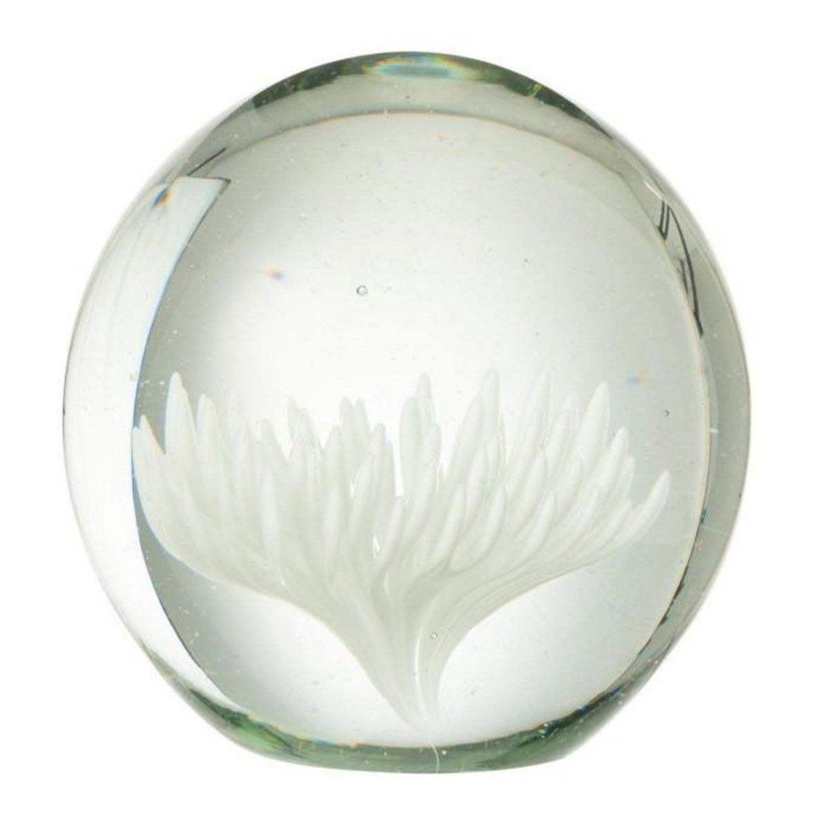Paris Prix Presse-Papier Fleur en Verre  Aster  10cm Blanc