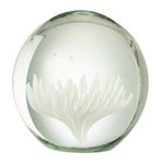 Paris Prix Presse-Papier Fleur en Verre  Aster  10cm Blanc