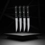 Voir la diapositive 4 : NIROSTA Lot de 4 Couteaux à steak Nirosta Mega 21 cm