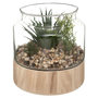 Voir la diapositive 1 : ATMOSPHERA Terrarium en Verre & Bois  Brito  17cm Transparent