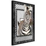 Paris Prix Affiche Murale Encadrée  Zebra in the Frame. Coloris disponibles : Jaune, Noir