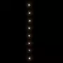 VIDAXL Guirlande LED avec 300 LED Blanc chaud 30 m PVC