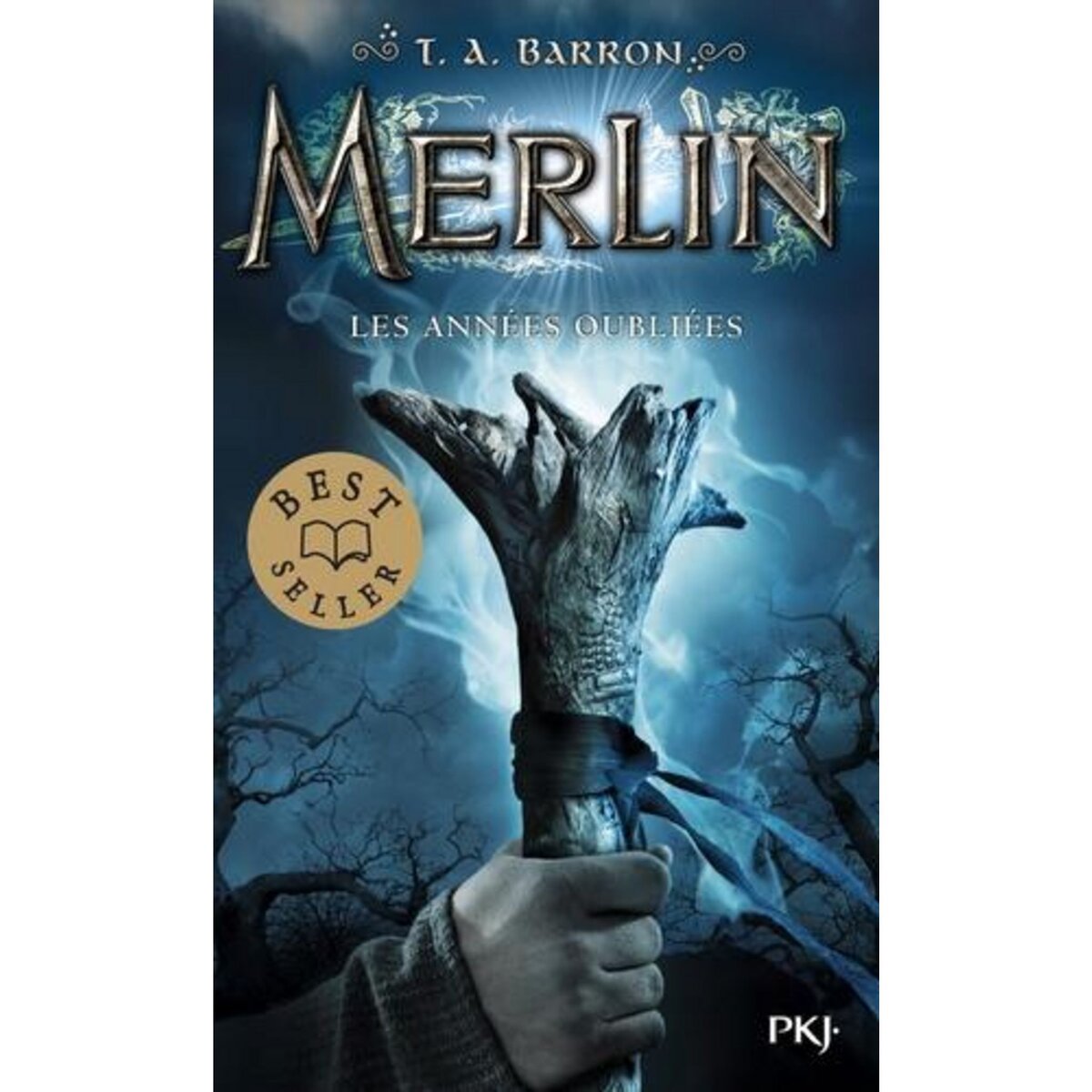 MERLIN TOME 1 : LES ANNEES OUBLIEES, Barron T.A