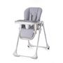 Voir la diapositive 5 : Baby Tiger Baby Tiger chaise haute BENJI gris